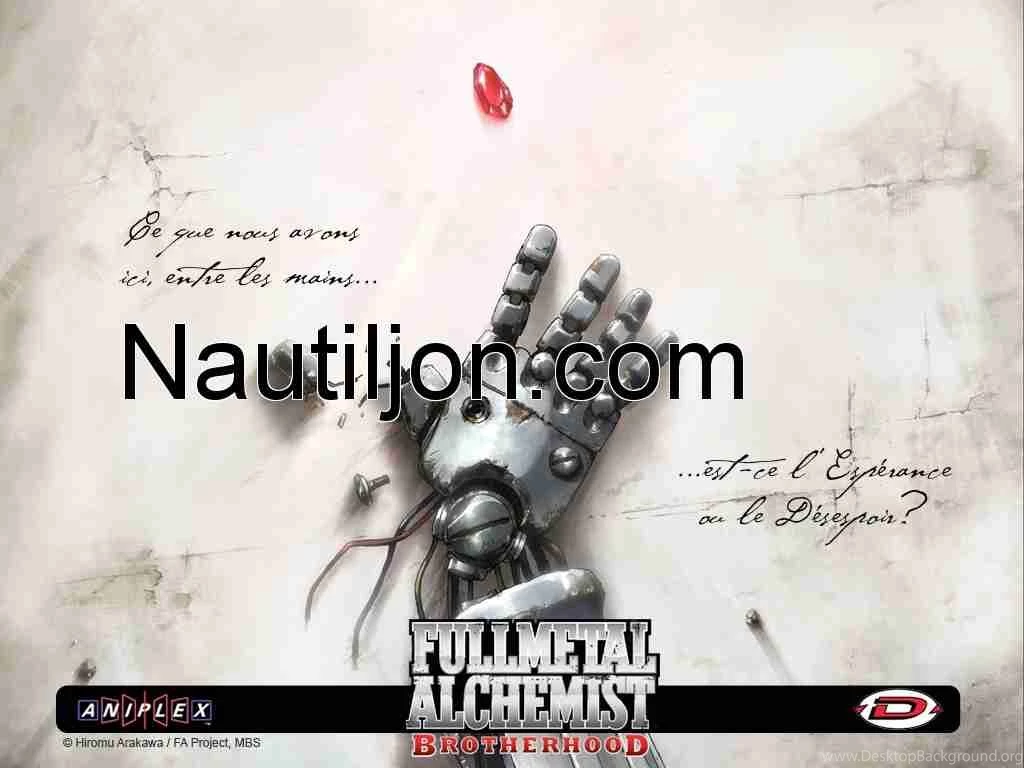 Fullmetal Alchemist : Brotherhood