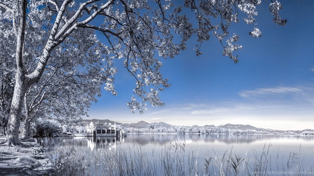 Winter Wallpaper Backgrounds Wallpapers Cave