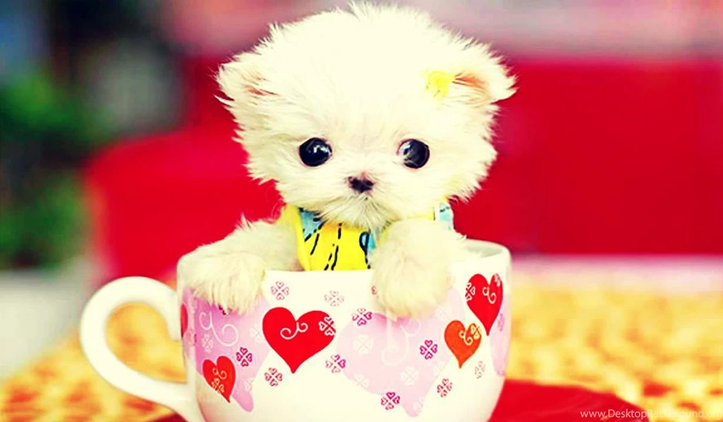 Desktop Cute Puppy Wallpapers Hd 3d Hd Pictures.