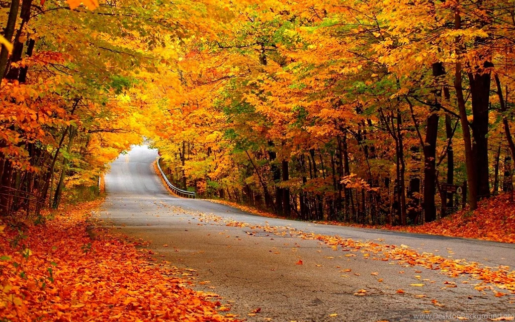 Autumn Wallpapers, Free Desktop Backgrounds Wallpapers Path