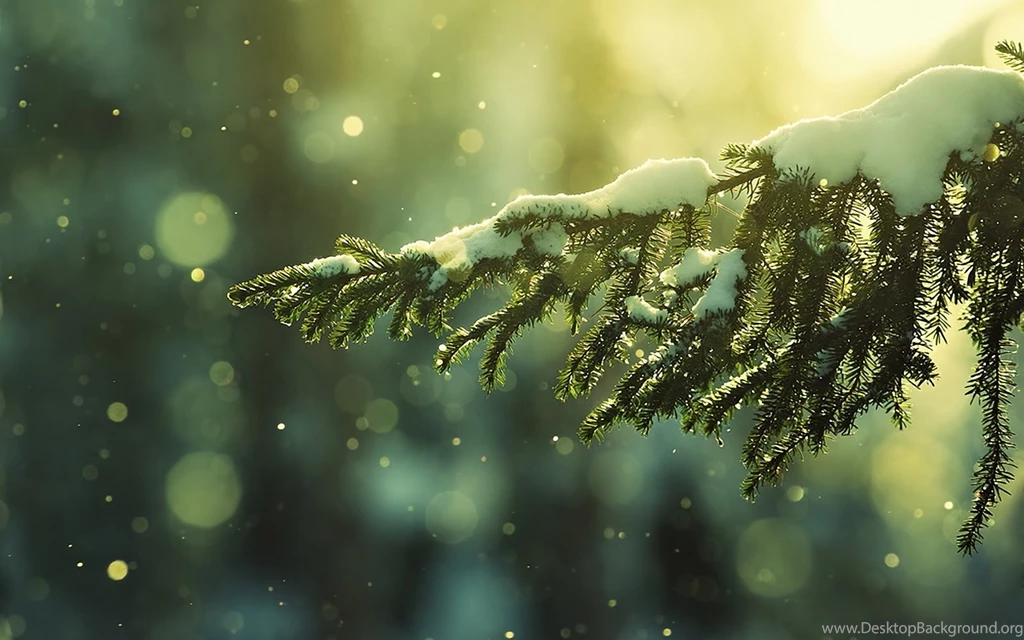 Christmas Wallpaper, Free Wallpapers Downloads: Wallpapers HD Winter