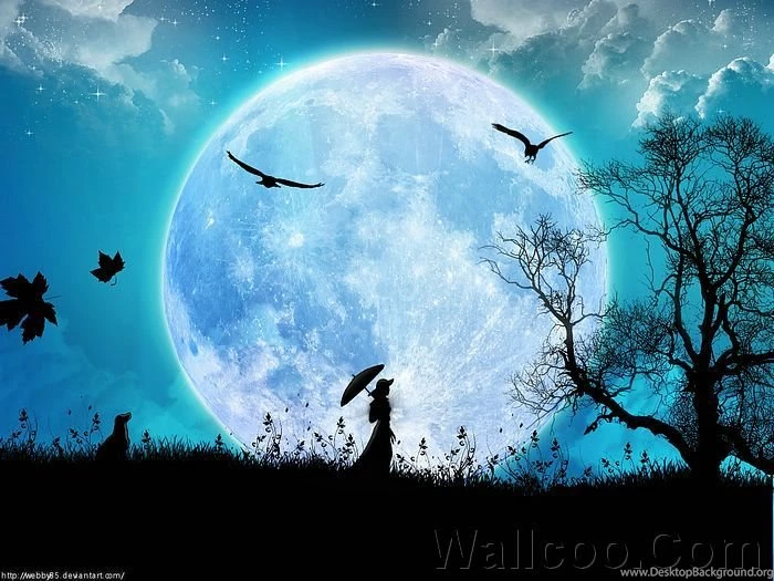 Creative Digital Art And Design Wallpapers 29 Wallcoo.net