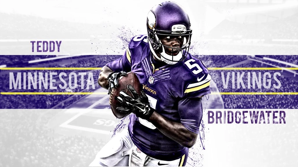Minnesota Vikings 2014 Wallpapers