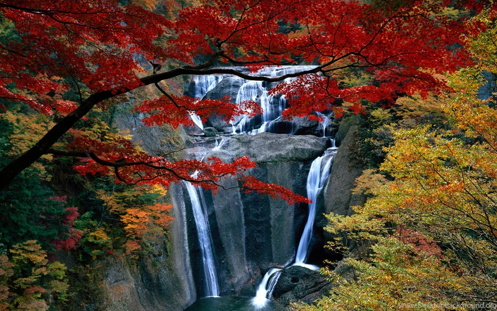 Free Waterfalls Wallpapers Waterfall Wallpapers HD Wallpapers 93528