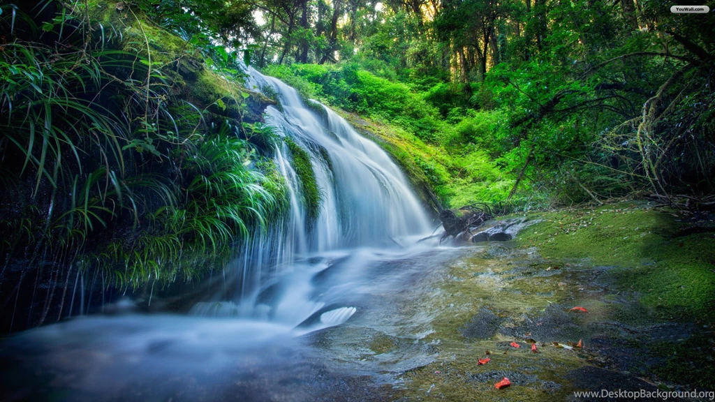 YouWall Green Forest Waterfall Wallpapers Wallpaper,wallpapers ...
