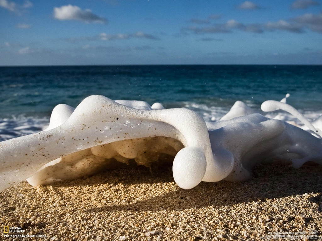 Natgeo Wallpapers Free