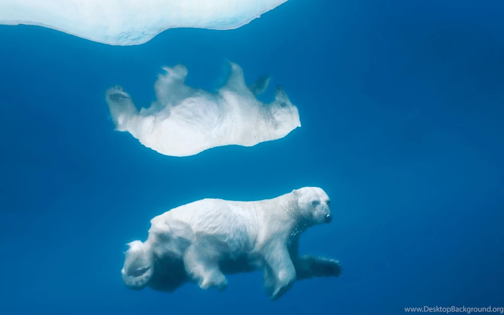 National Geographic