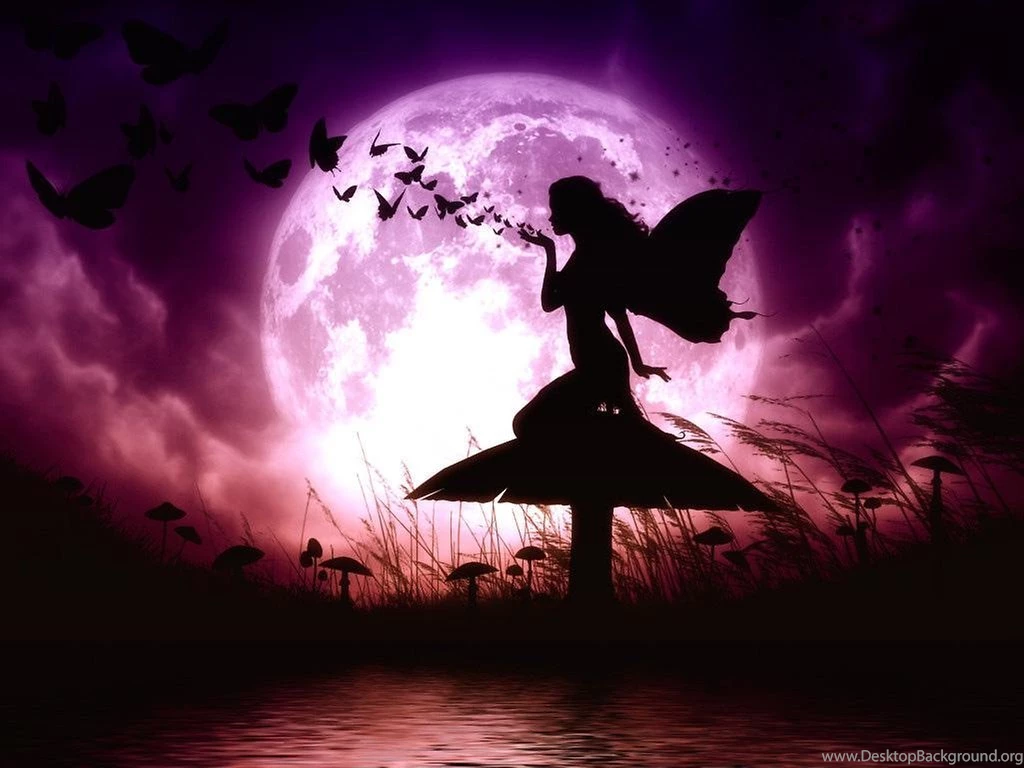 Pink Fairy Live Wallpapers Android Apps And Tests AndroidPIT