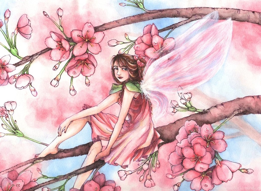 Flower Fairy Wallpapers Wallpapers HD Fine