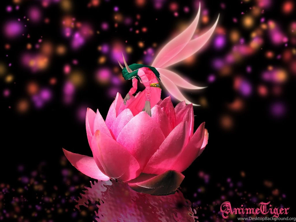 Pink Backgrounds