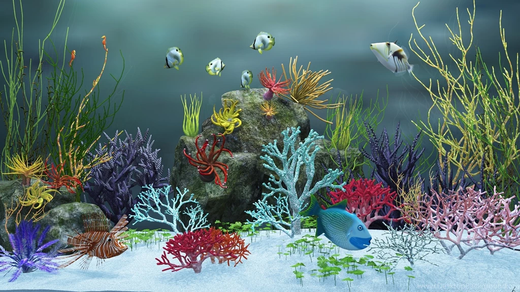1920x1080 Aquarium View Ver.2 Desktop PC And Mac Wallpapers
