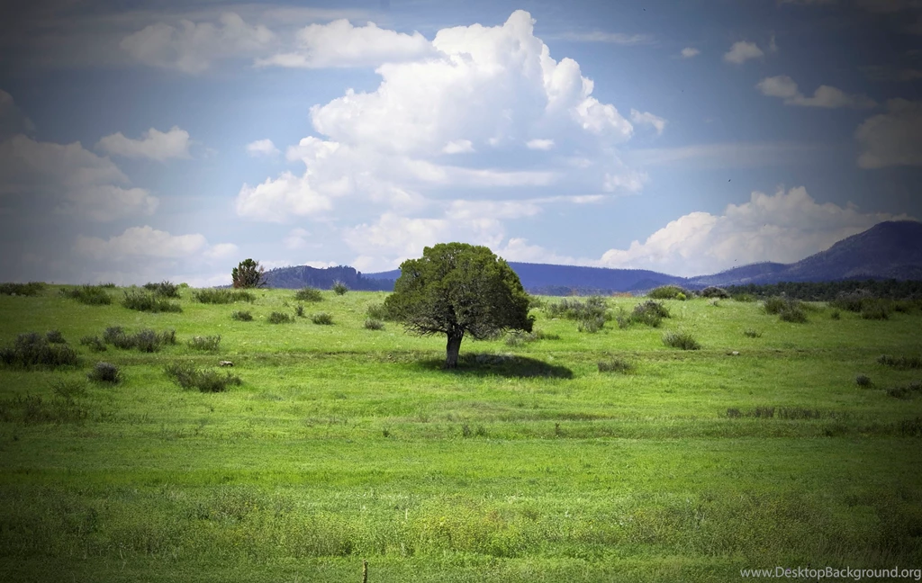 Nature Wallpapers For Samsung, Hd Landscape Wallpapers, Plants, Sky ...