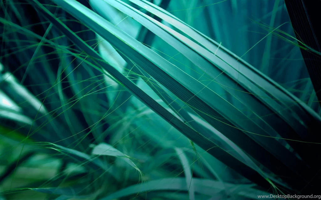 Wallpapers, Ubuntu, Cosmos, Screensaver, Micro, Gnome, Articles ...