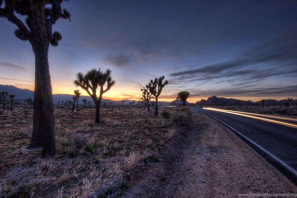 The Desert Road Wallpaper Backgrounds
