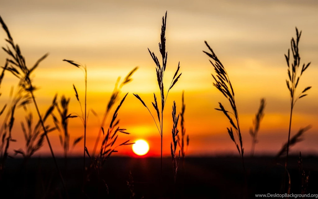 Girl Nature Sunset Wallpapers