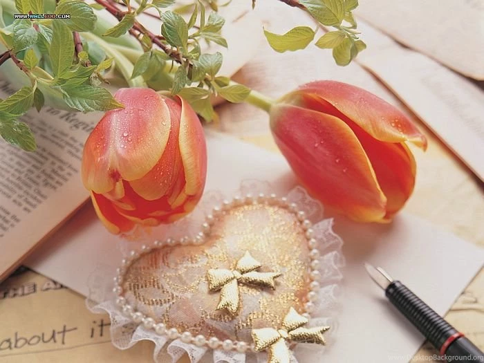 Romantic Mood & Valentine's Day Flowers Wallpapers 14 Wallcoo.net