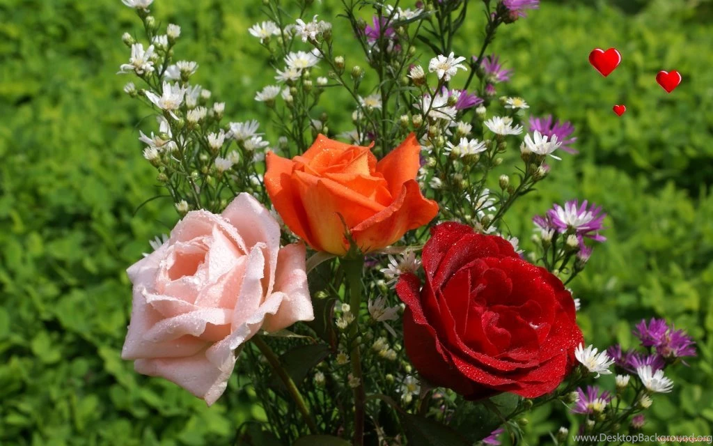 Top 15 Valentine Flower Wallpapers Full HD 2016