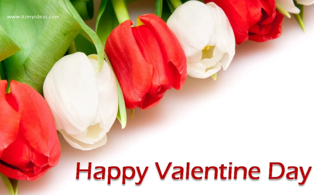 Valentine day 2013 Flower HighDefination Widescreen Wallpapers .jpg ...