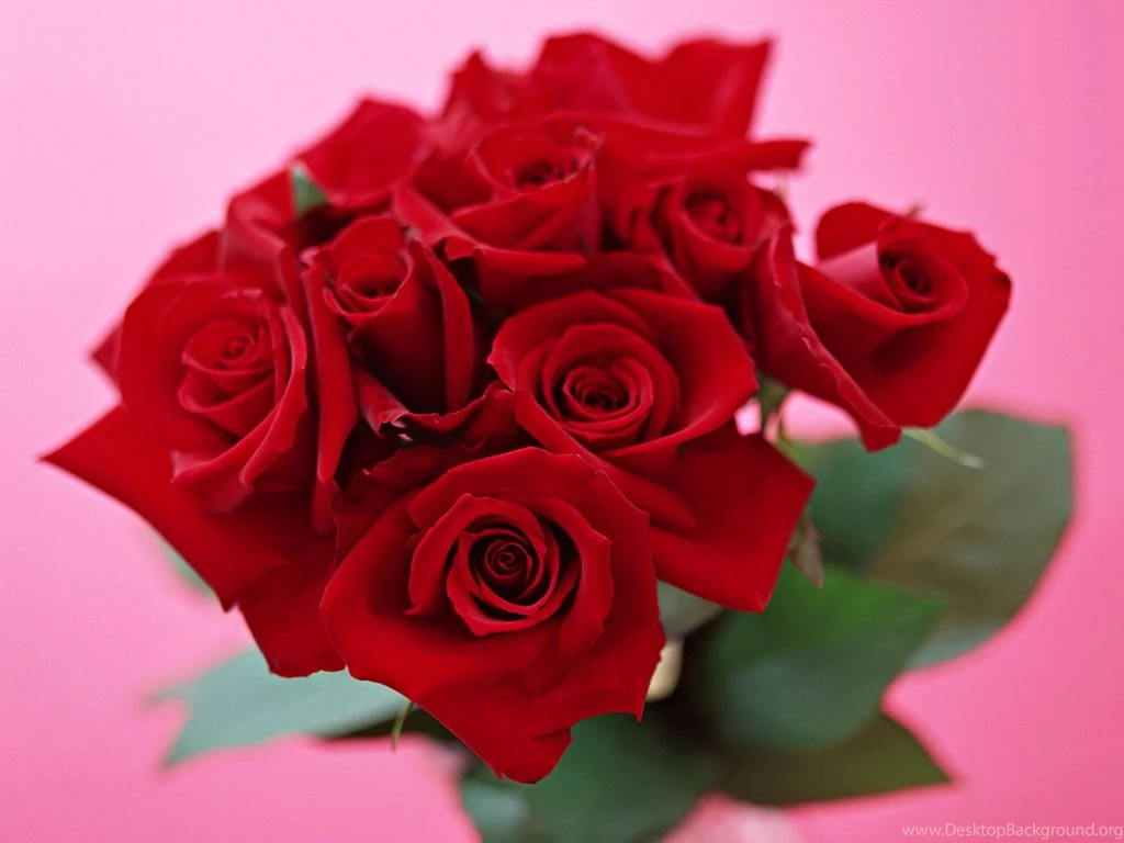 Flower Delivery Services In Dubai (Valentine's Day Special)