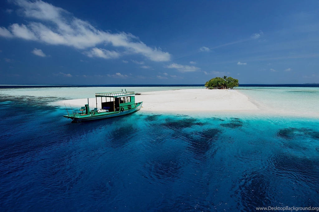 FISHING Fish Sport Water Wallpapers