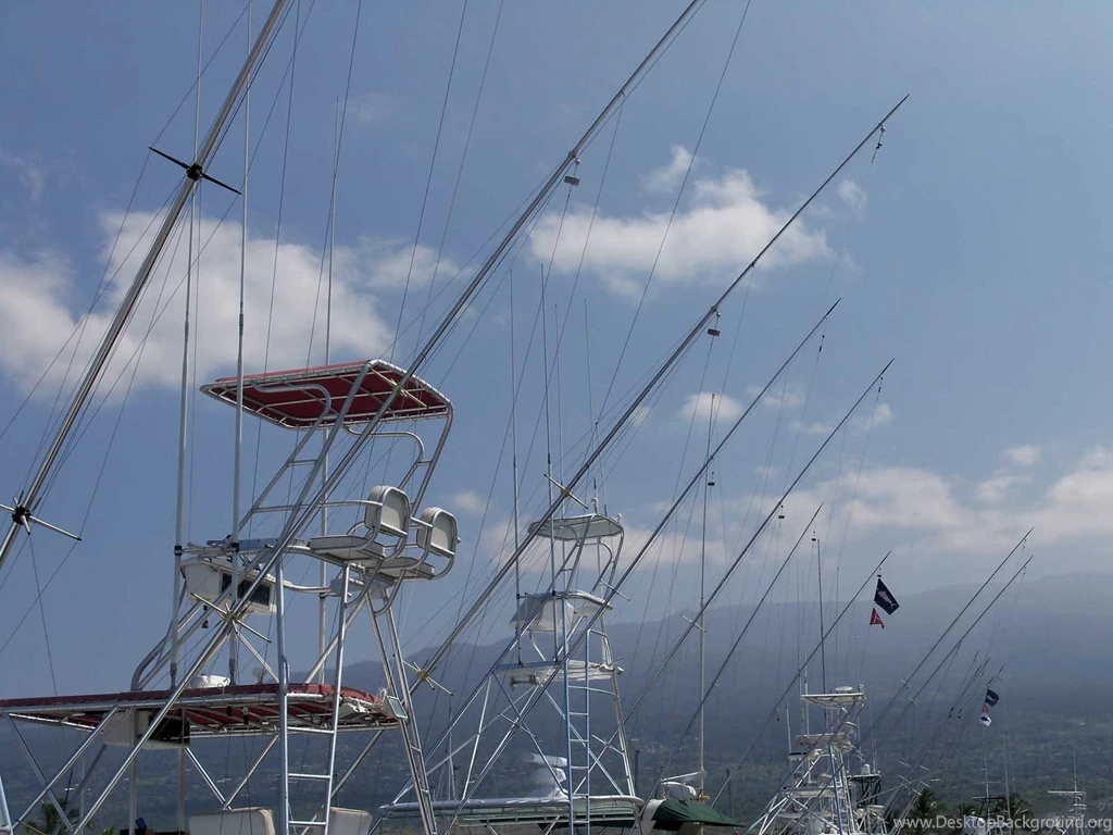 Set For Sportfishing   Hawaii Pictures