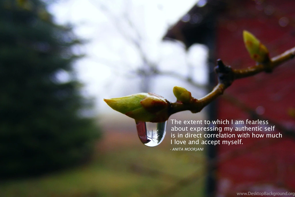 Fearless wallpaper anita moorjani