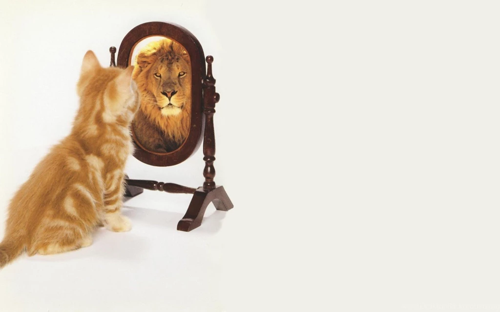 Fearless