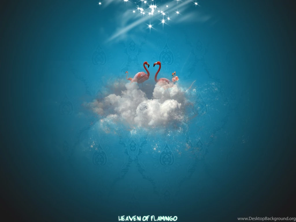 Heaven Of Flamingo Windows 7 Abstract Desktop Wallpapers