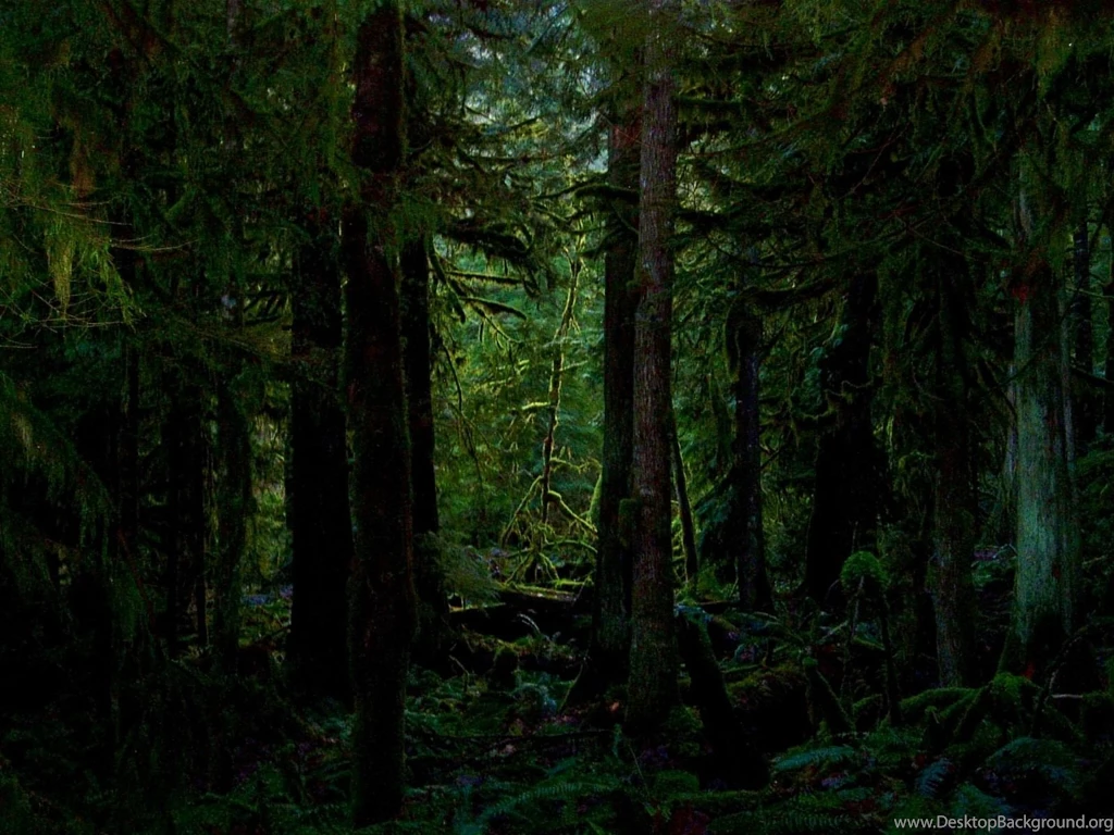 Full View And Download Dark Jungle Wallpapers