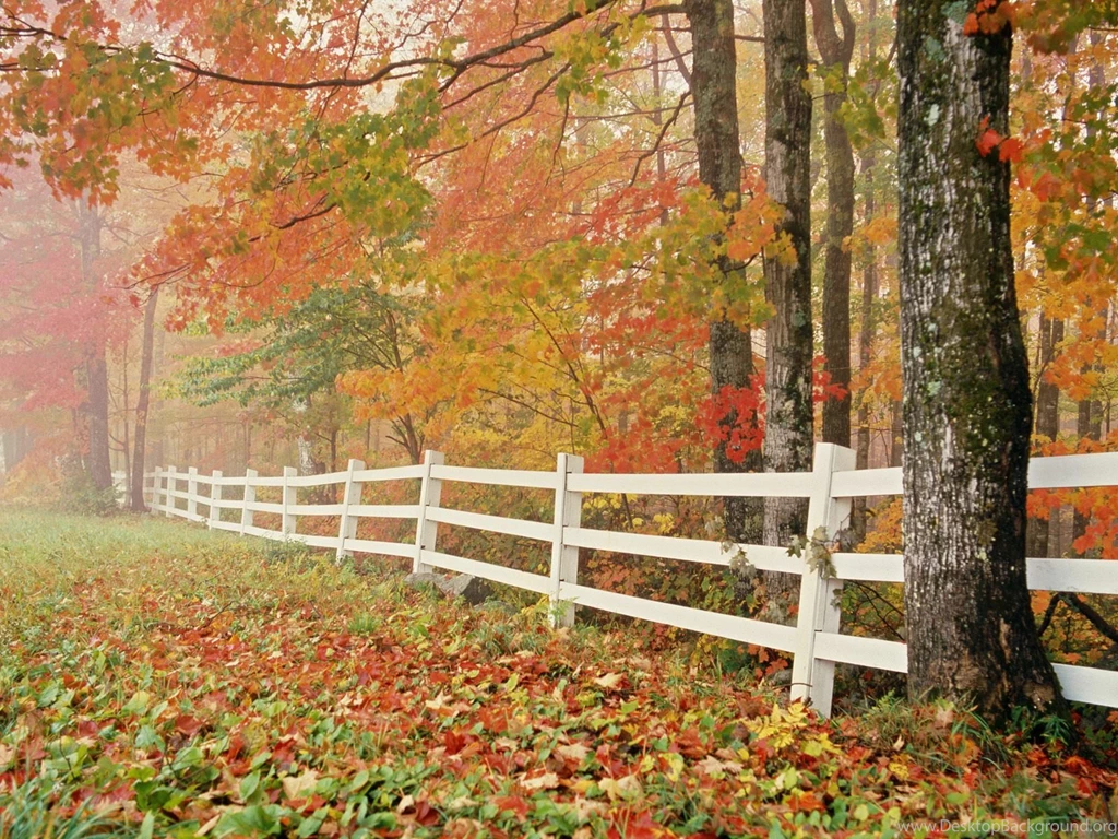 Autumn Desktop Backgrounds Free
