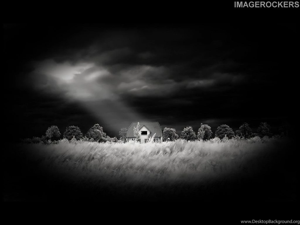 Wallpapers Lonely House In Dark Jungle 1024x768