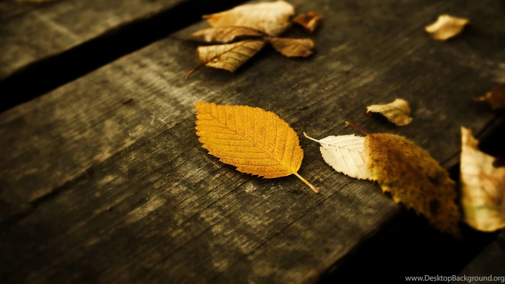 HD HD Wallpapers