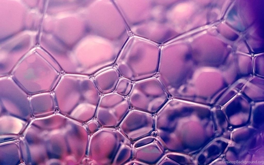 1280x800 Purple Soap Bubble Macro Desktop PC And Mac Wallpapers