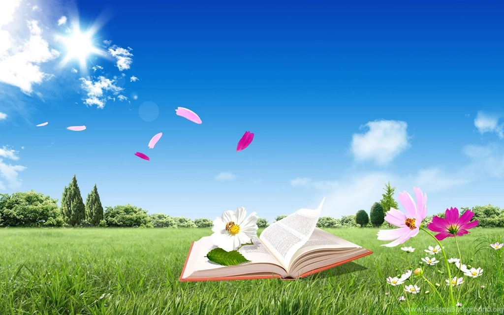 Free PC Wallpapers Downloads Desktop Wallpapers Wallpapers Zone