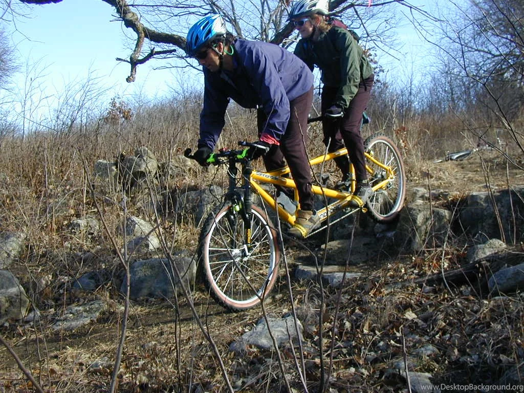 The Official Cannondale Thread Mtbr.com