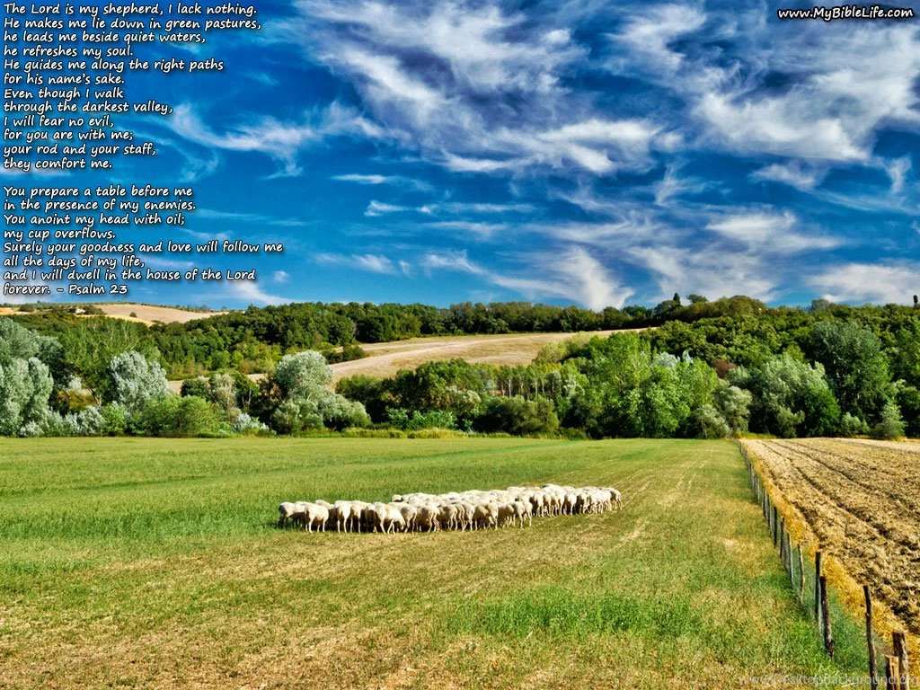 Desktop Backgrounds My Bible Life