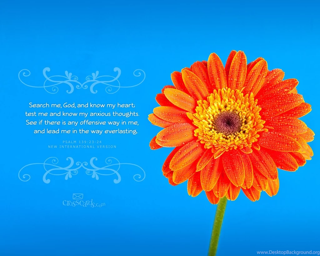 Beautiful Psalms Desktop & Mobile Wallpapers Free Backgrounds