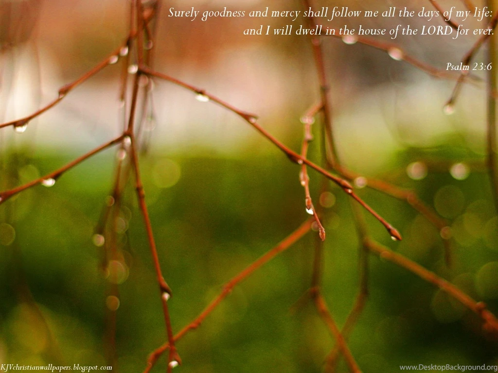 Religious Wallpapers Free Downloads *Radical Pagan Philosopher ...