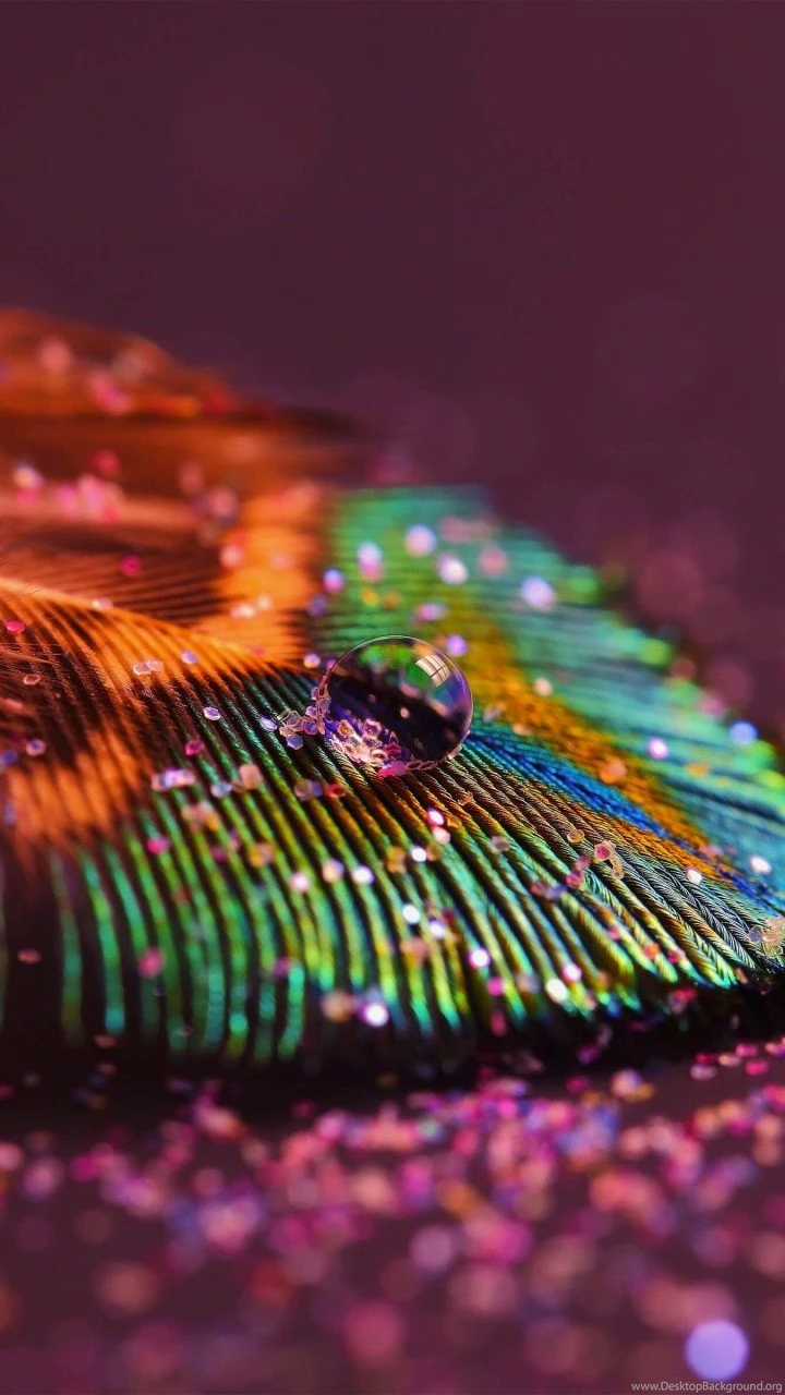 Download Colorful Feather HD Wallpapers For A6000 HDwallpapers.net