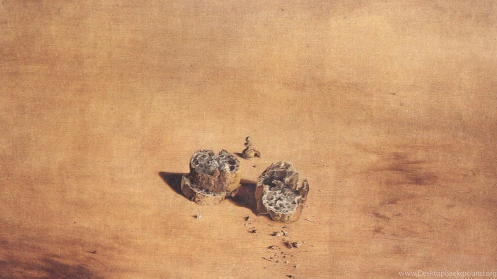 Paintings Surrealism Salvador Dalí Wallpapers