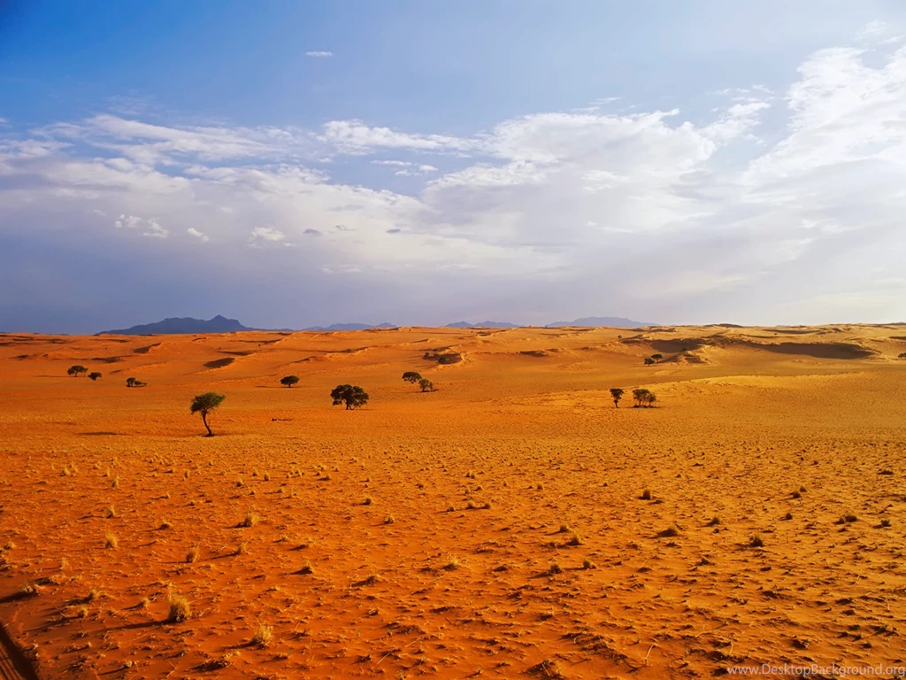 Desert Landscape Home Decor Ideas