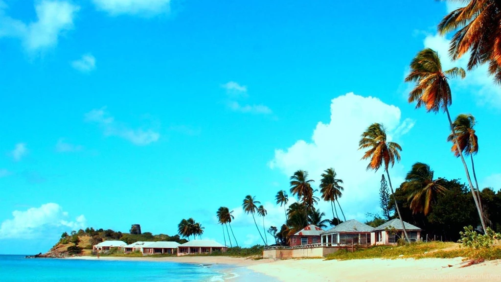 Beach House