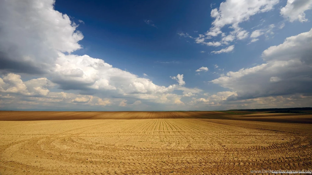 Exciting Desert Landscape Wallpapers Hd For Rock Landscaping