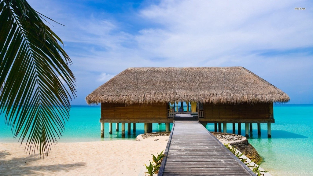 Beach House On Stilts