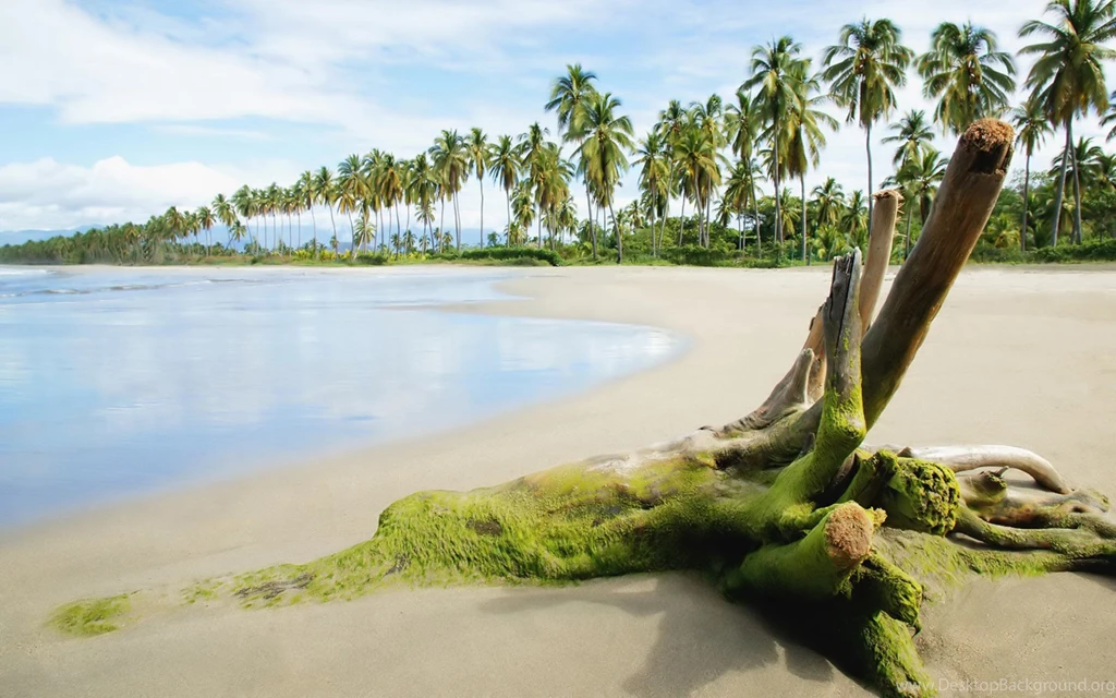 Wallpaper, House, Beach, Splendid, Wallpaperhd (