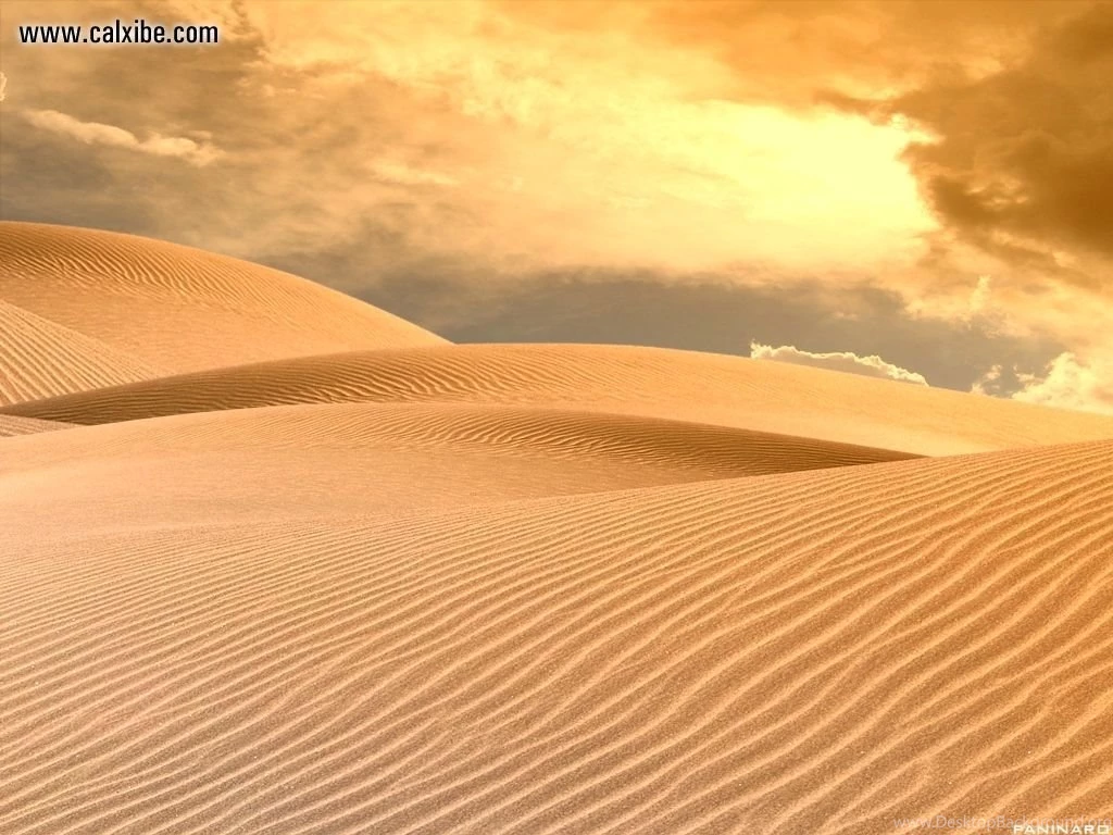 3D Landscape: Desert, Picture Nr. 4521