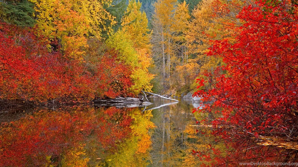 Most Beautiful Fall 4K Wallpapers