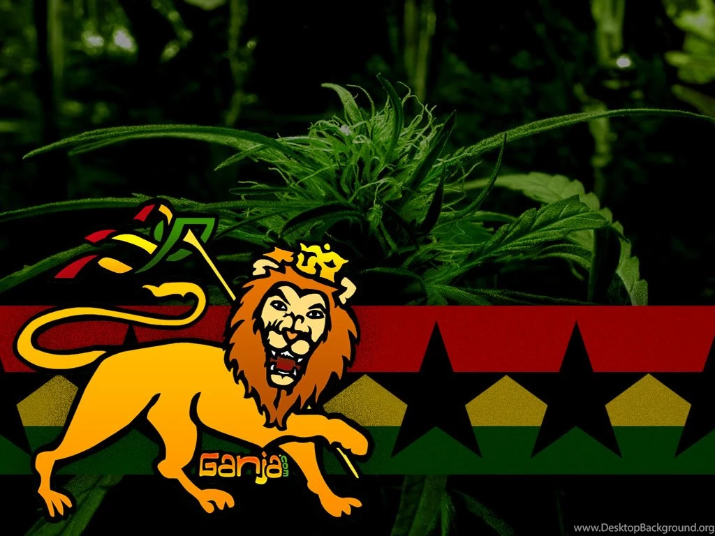 Wallpapers Hd Rasta Lion Reggae Images Socialphy 1024x768 ...