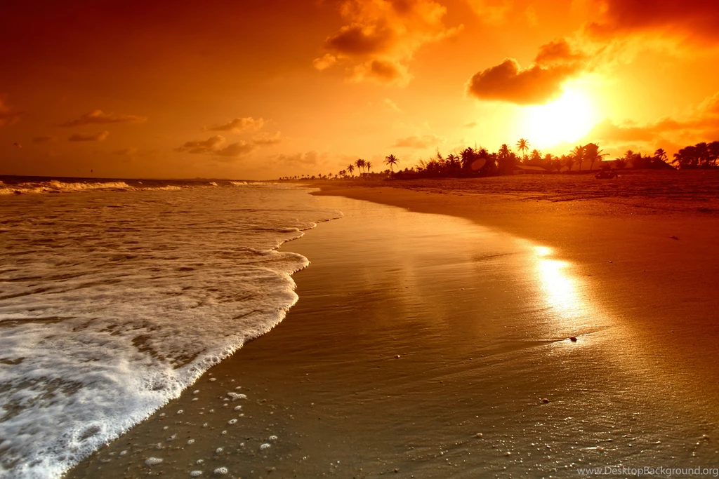 Sea_Beach_Sunrise_Background.jpg?m=1432120802