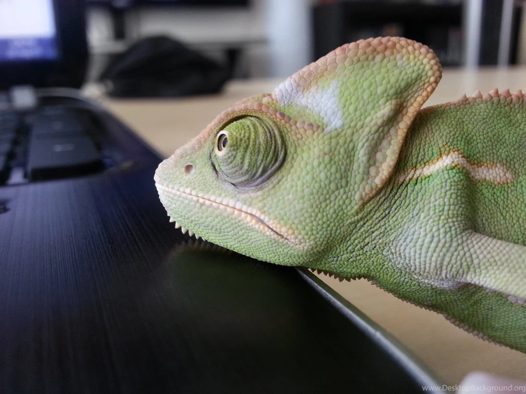 Awesome Opensuse Wallpapers Courtesy Reddit Front Page ...
